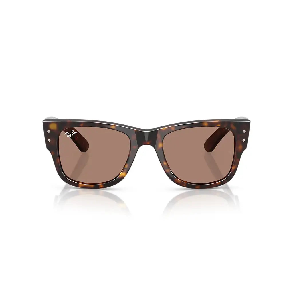 Ray-Ban Mega Wayfarer Sunglasses 