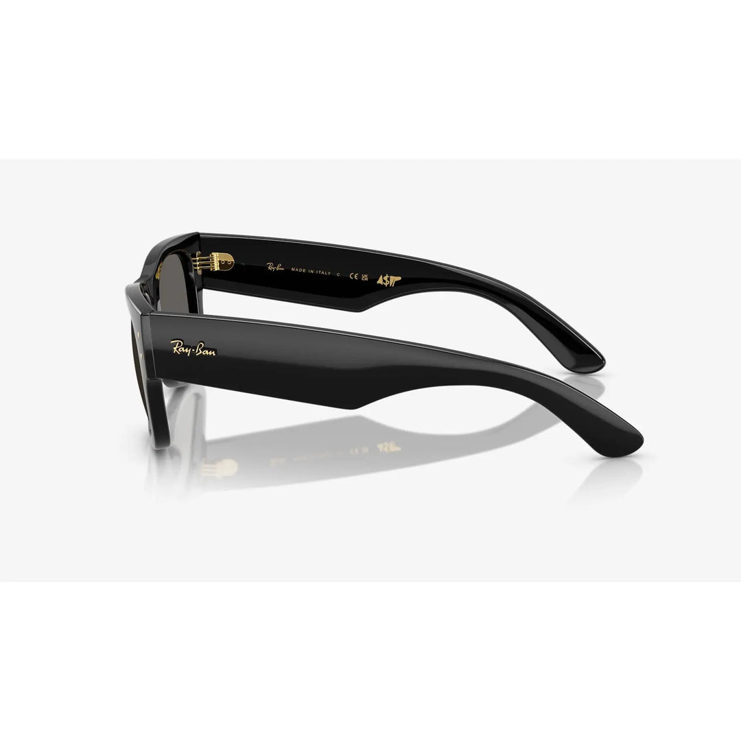 Ray-Ban Mega Wayfarer Sunglasses 