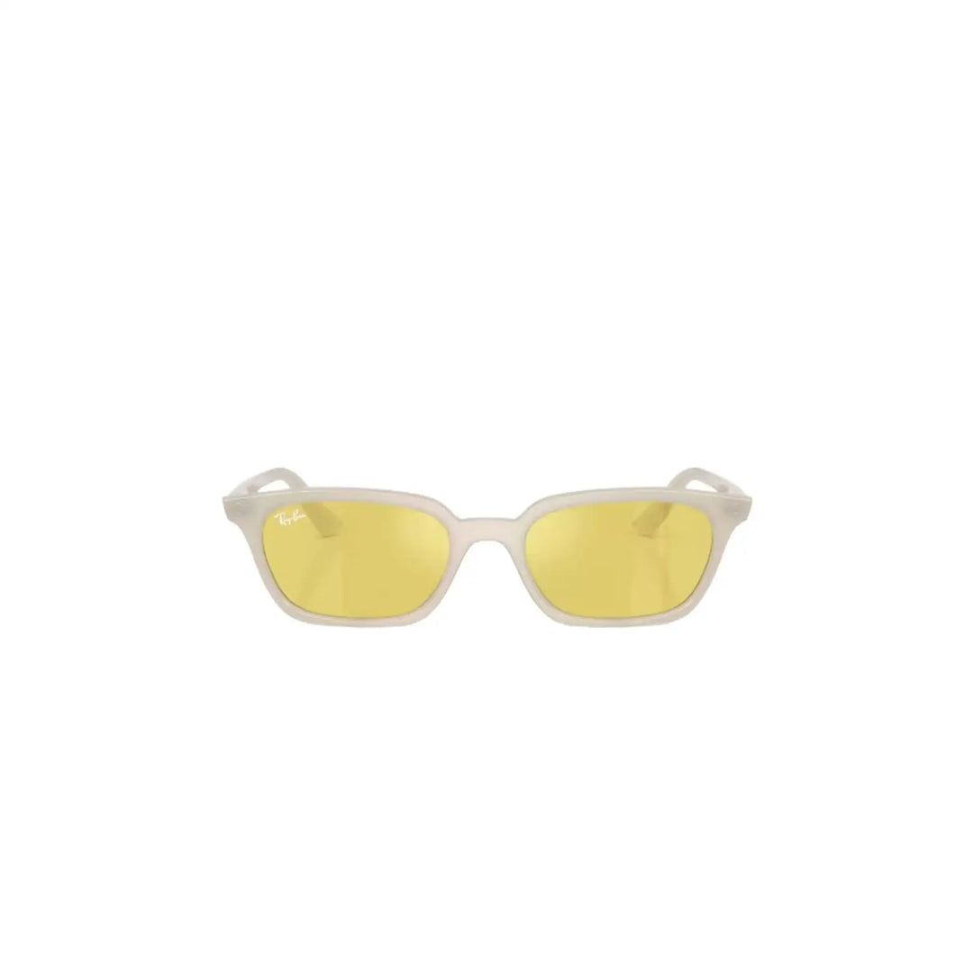 Ray-Ban Zaya Sunglasses 