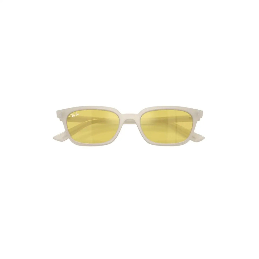 Ray-Ban Zaya Sunglasses 