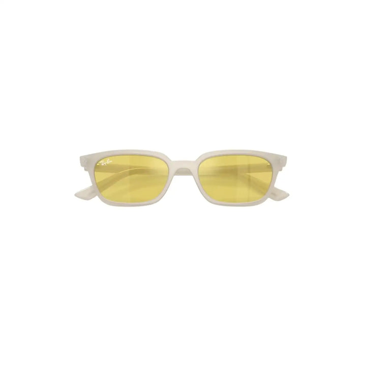 Ray-Ban Zaya Sunglasses 