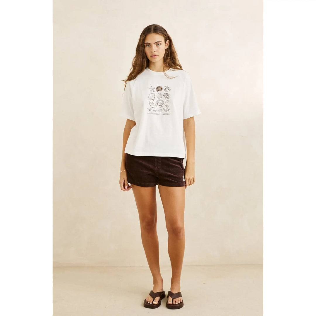 Rhythm Ocean Sounds Raglan T-Shirt