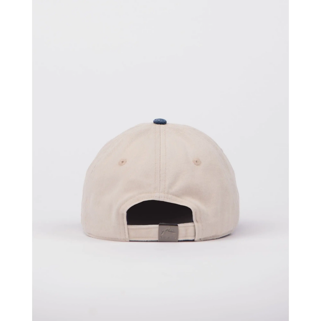 Rusty Artic Dad Cap 