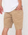 Rusty Rifts 5 Pocket Cord Shorts 