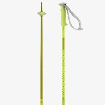 Salomon Polar Ski Poles 
