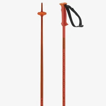 Salomon Polar Ski Poles 