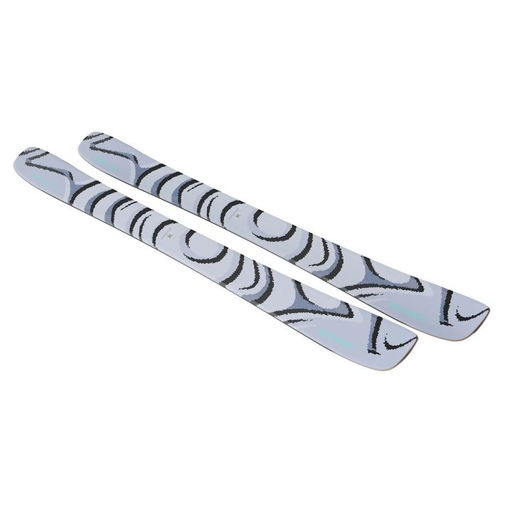 Salomon QST 100 Ski 2026 