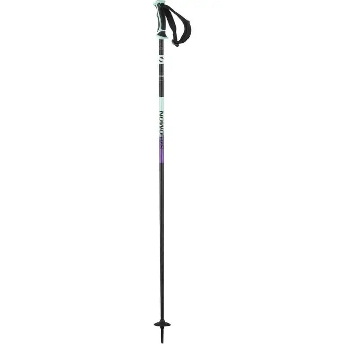 Salomon Shiva Ski Poles 