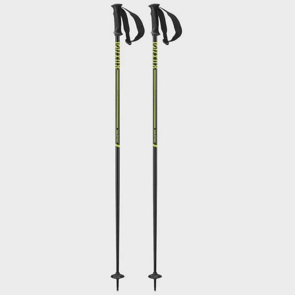 Salomon X 08 Ski Poles 