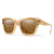 Smith Sway Polarised Sunglasses Champagne Crystal / CP Polarised Brown 