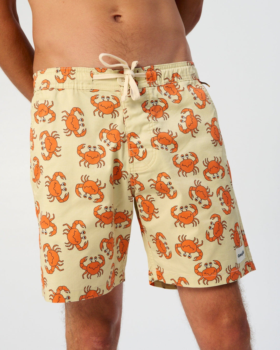 The Critical Slide Society Gerald 17" Boardshorts 