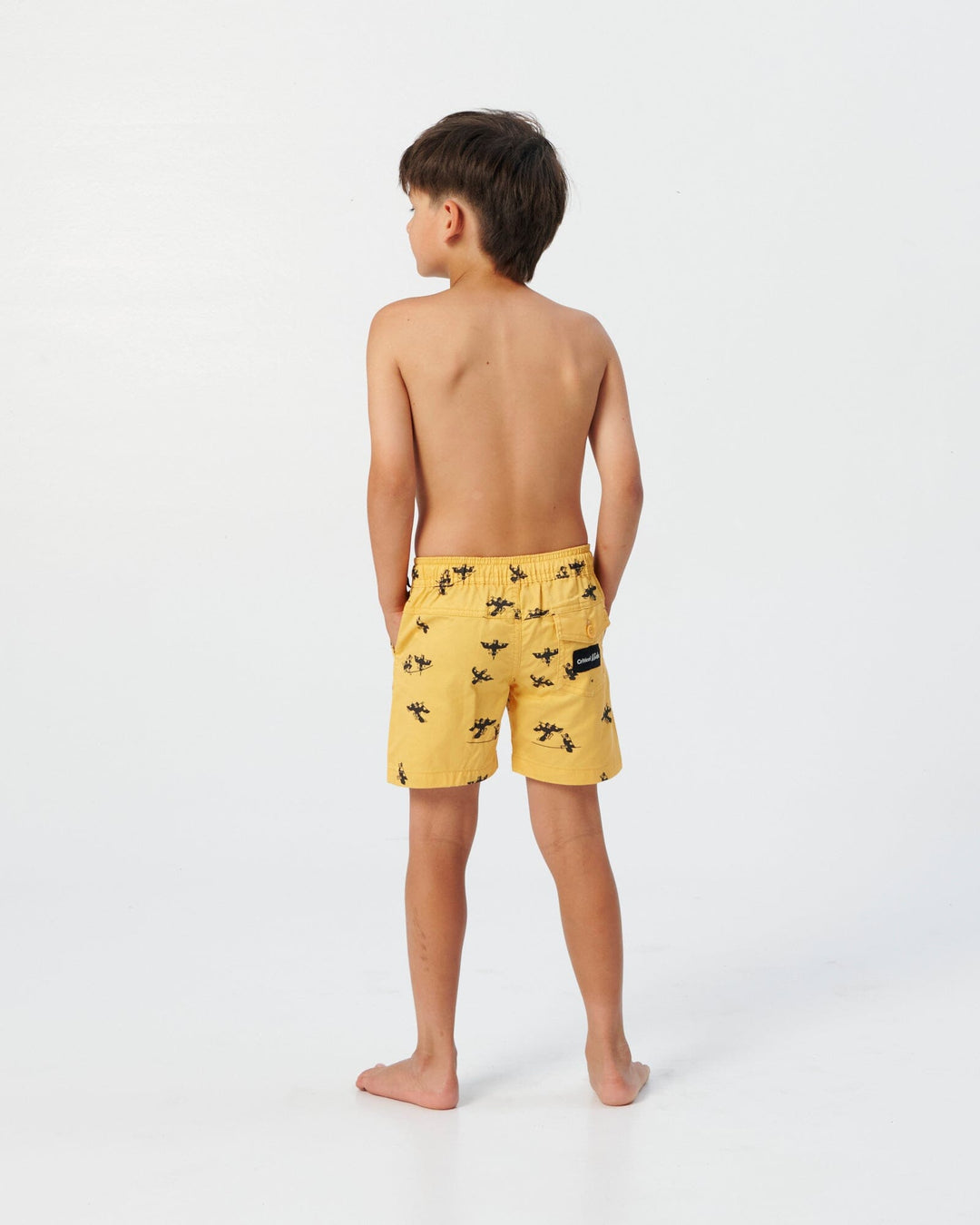 The Critical Slide Society Swoopy Boys Youth Boardshorts 