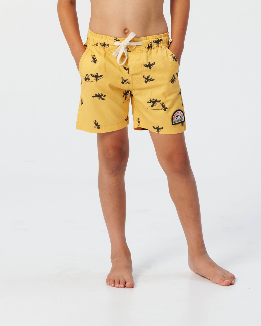 The Critical Slide Society Swoopy Boys Youth Boardshorts 