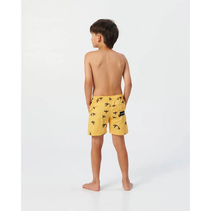The Critical Slide Society Swoopy Boys Youth Boardshorts 