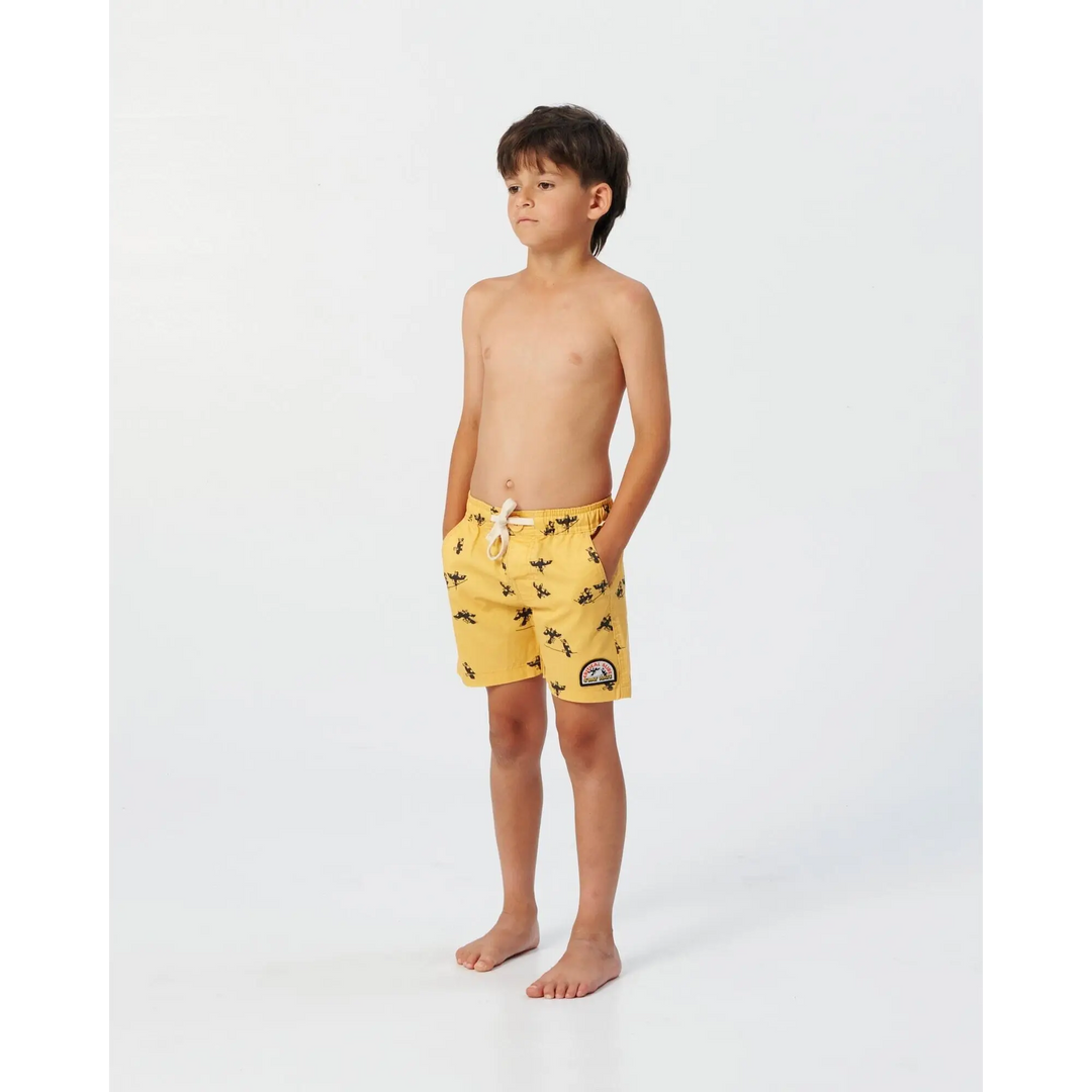 The Critical Slide Society Swoopy Boys Youth Boardshorts 