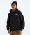 The North Face Box NSE Pullover Hoodie 