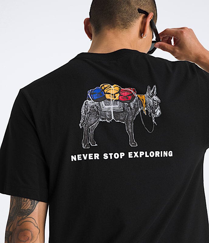 The North Face Evolution Pack Graphic T-Shirt 