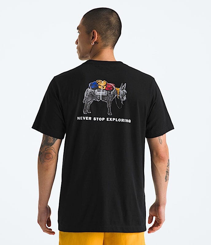 The North Face Evolution Pack Graphic T-Shirt 