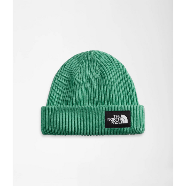 The North Face Salty Dog Lined Beanie 