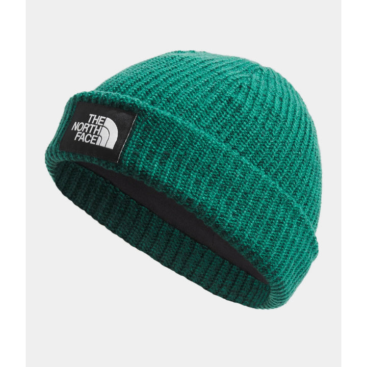 The North Face Salty Lined Beanie Evergreen 