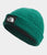 The North Face Salty Lined Beanie Evergreen 