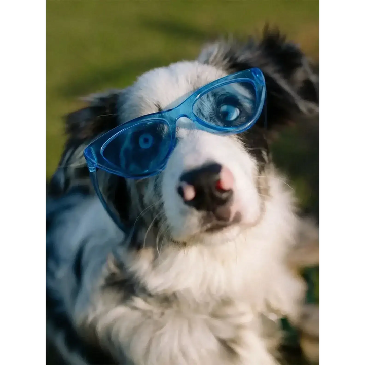 Volcom Womens Knife Sunglasses provide 100% UVA/UVB protection. 