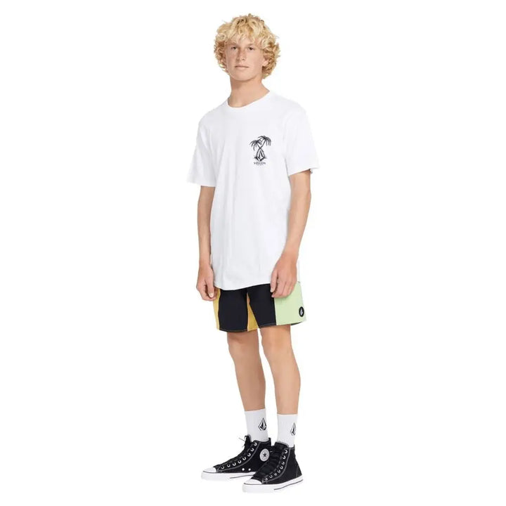 Volcom Lido Liberators 17" Boardshorts 