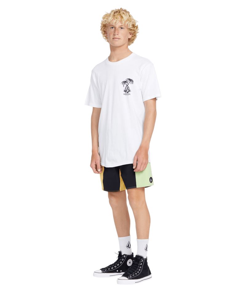 Volcom Lido Liberators 17" Boardshorts 